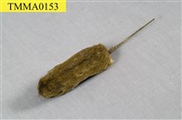 藏品(赤背條鼠)的圖片